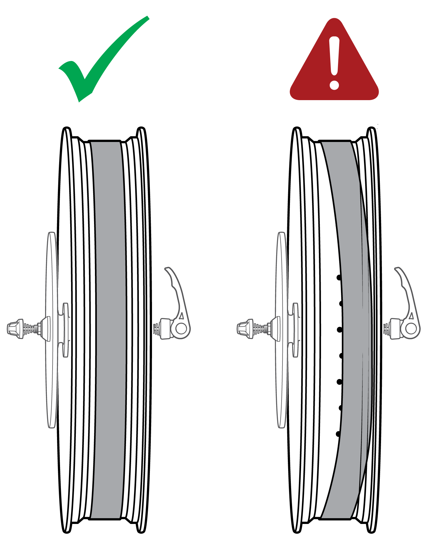 RIM_STRIP_fig1A.png